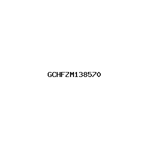 新闻图片 GCHFZM138570