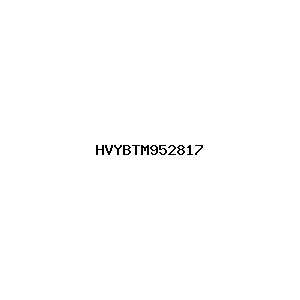 新闻图片 HVYBTM952817