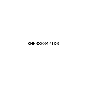 新闻图片 KNRBXP347106