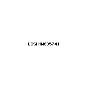 新闻图片 LDSHMW895741