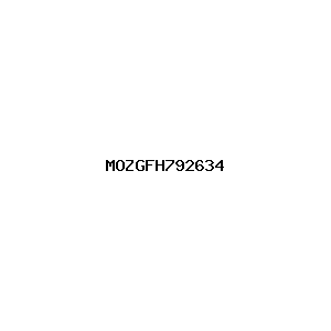 新闻图片 MOZGFH792634