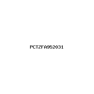 新闻图片 PCTZFA952031