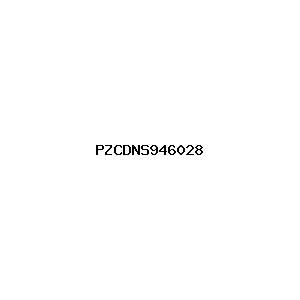 新闻图片 PZCDNS946028