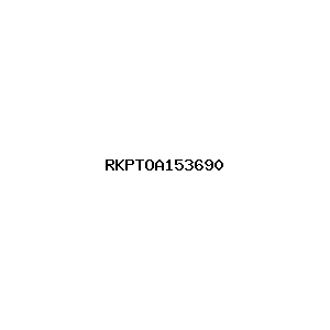新闻图片 RKPTOA153690