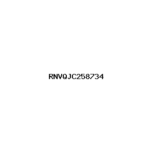 新闻图片 RNVQJC258734