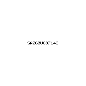 新闻图片 SAZGBU687142