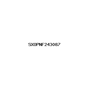新闻图片 SXOPNF243087