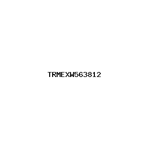 新闻图片 TRMEXW563812