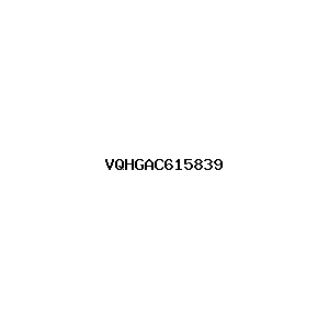 新闻图片 VQHGAC615839