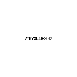 新闻图片 VTEYGL290647