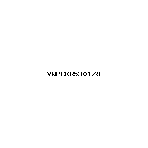 新闻图片 VWPCKR530178