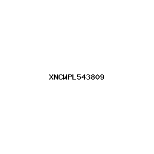 新闻图片 XNCWPL543809