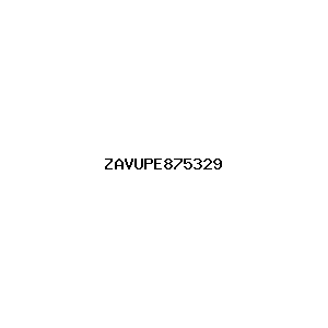 新闻图片 ZAVUPE875329