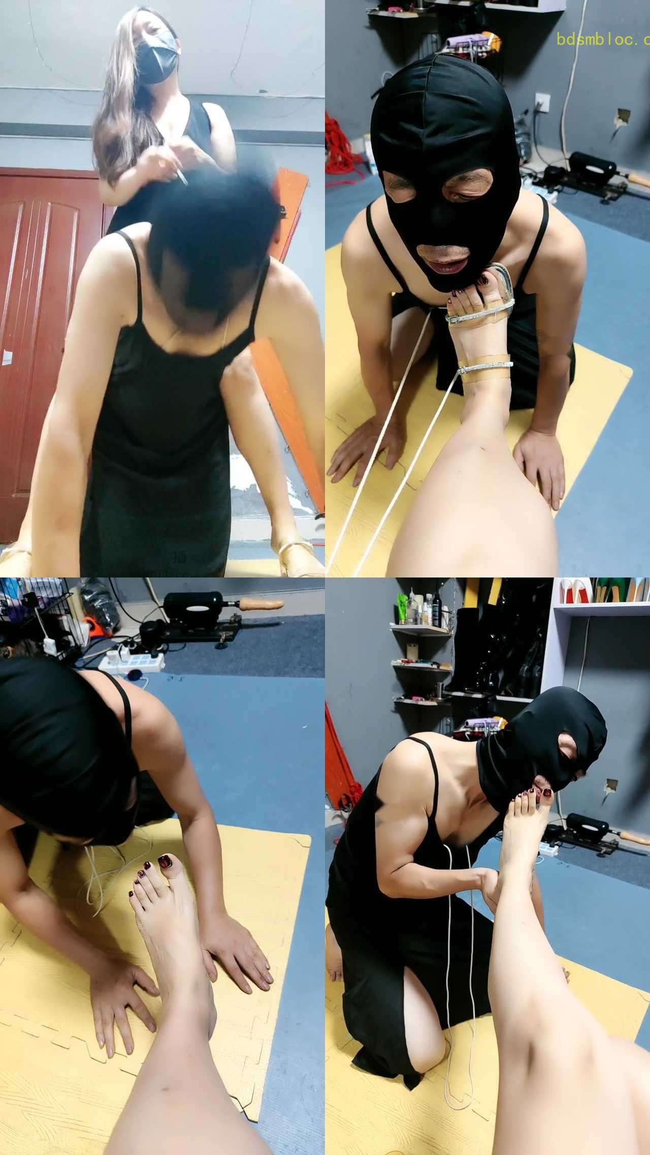 【东营天香百合】老畜生一早犯贱