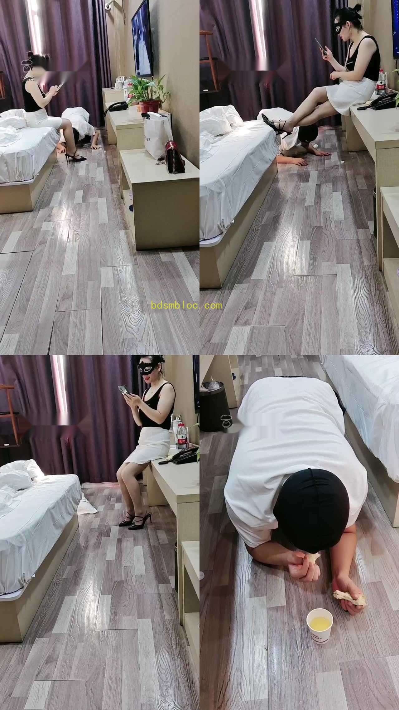 【郑州女神】狗狗早餐升水泡饭