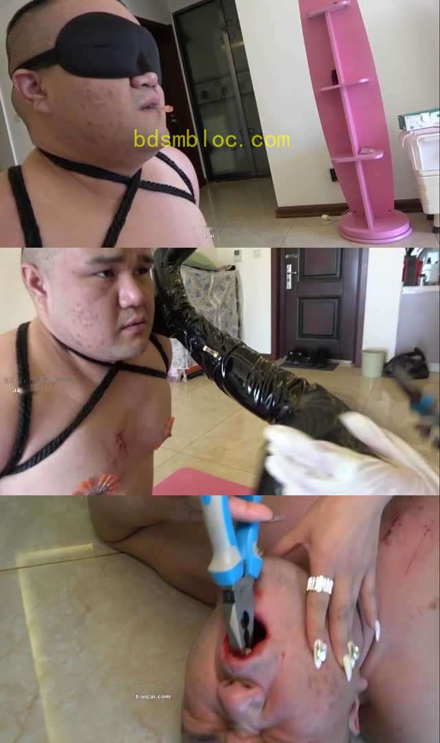 【冷柔】穿刺乳头残忍踩踏，狗嘴拔牙