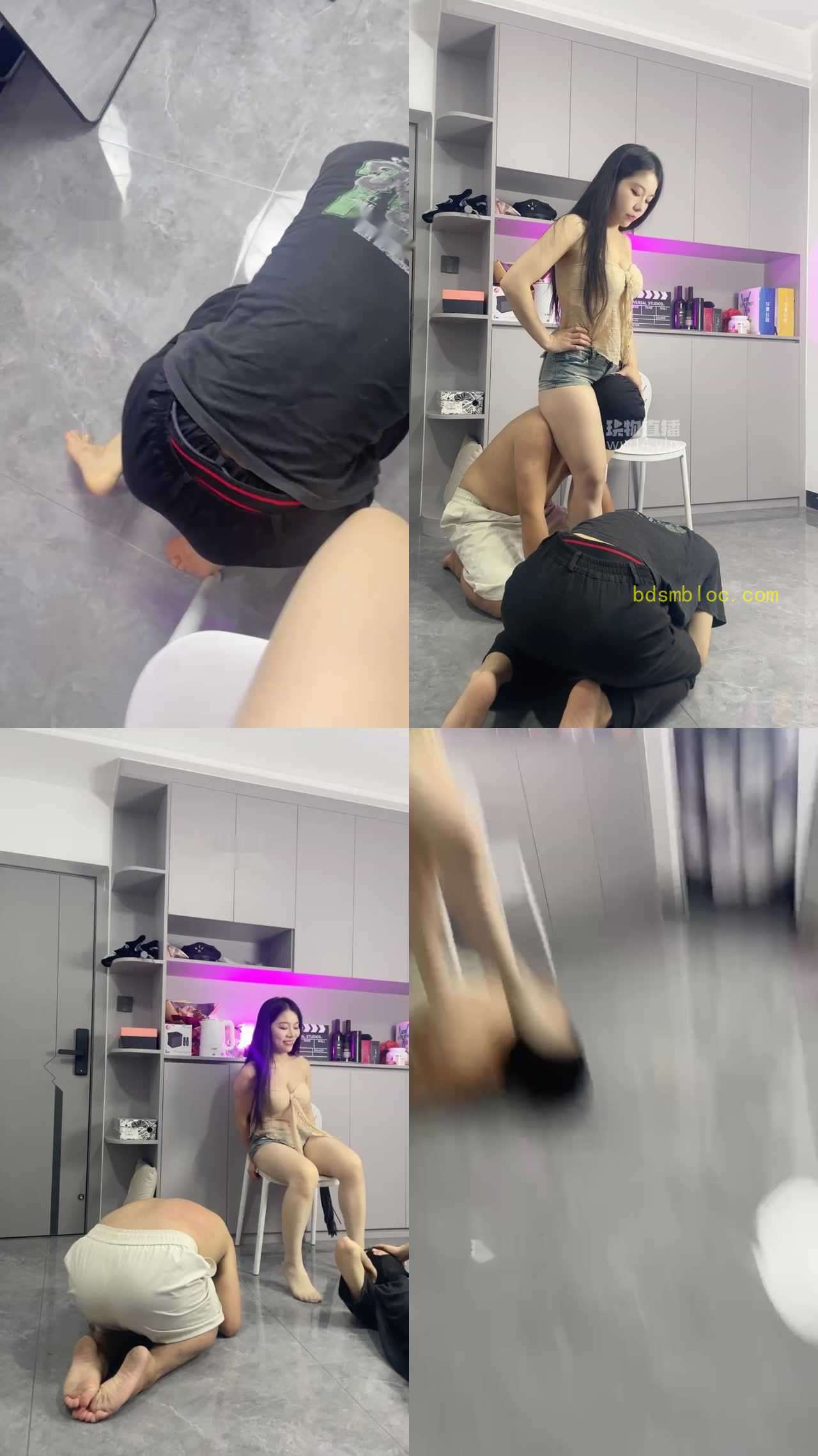 【白鹭】新索人调双奴
