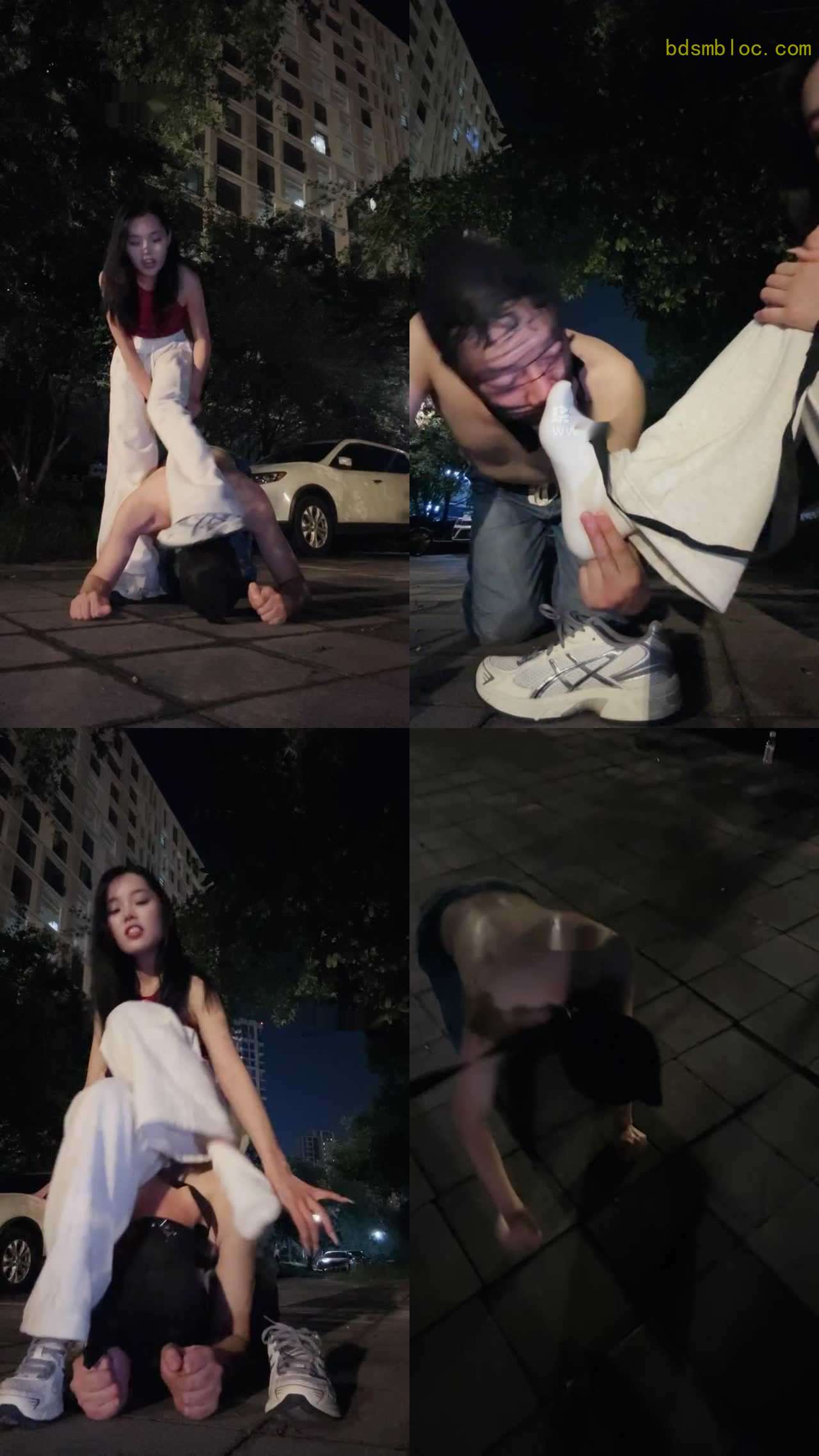 【等等s】深夜户外遛狗