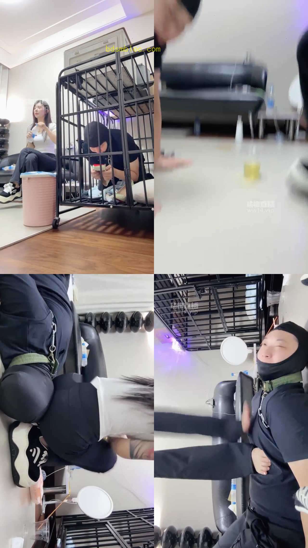 【伊楠】家奴圈养伺候