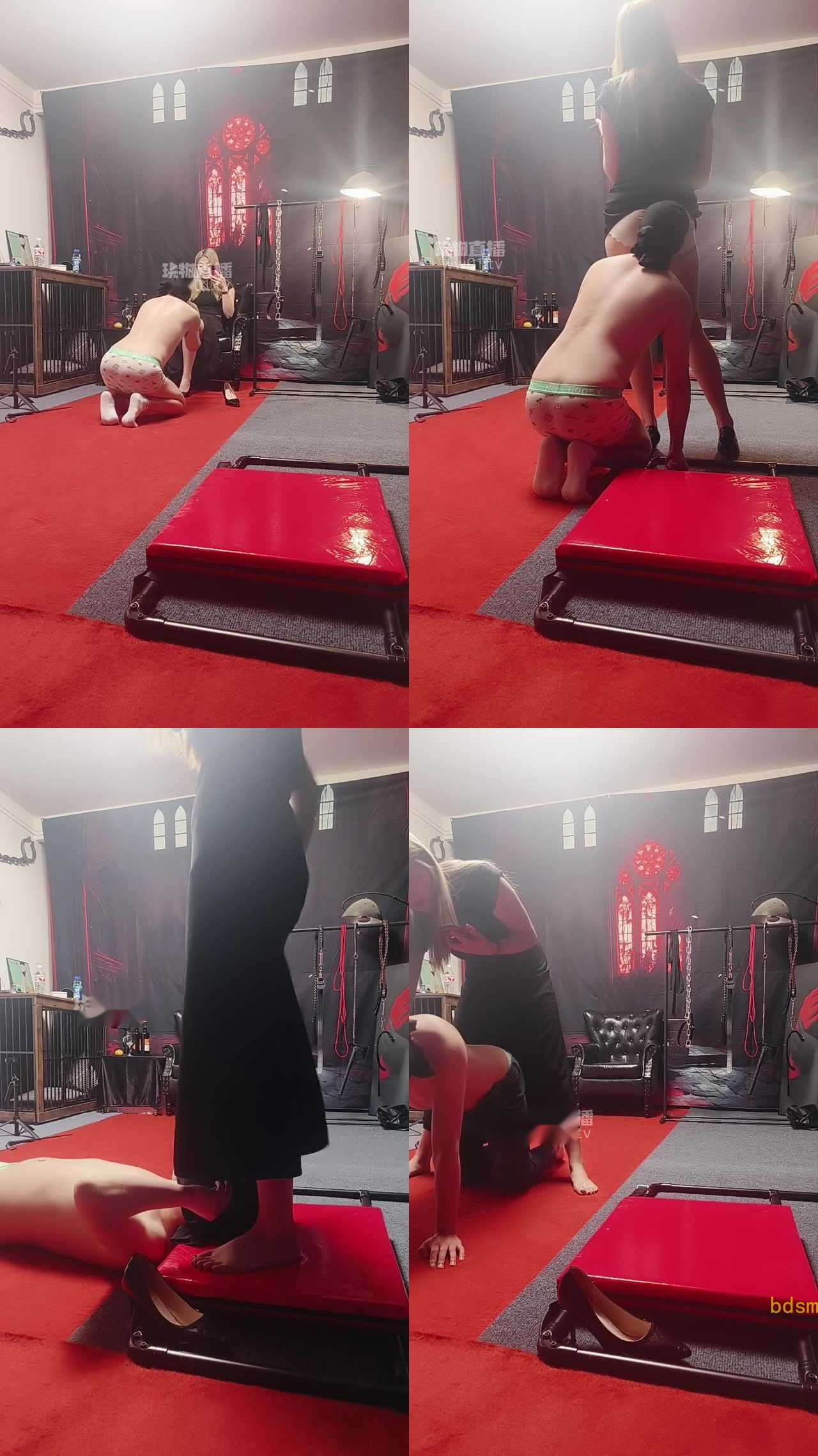 【苏苏女王】进来的狗狗给我滚进来跪下