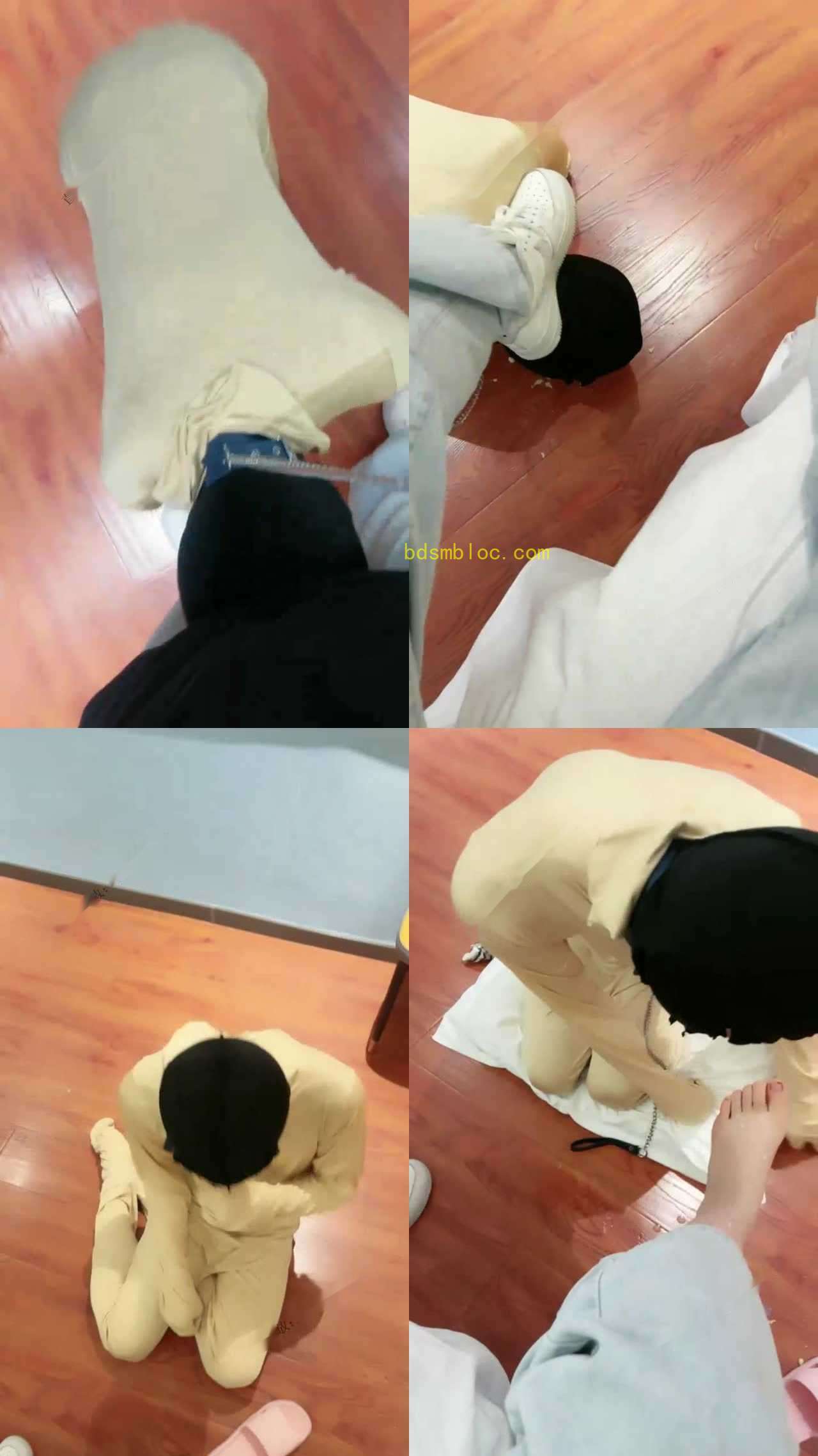 【棋棋大人】调狗