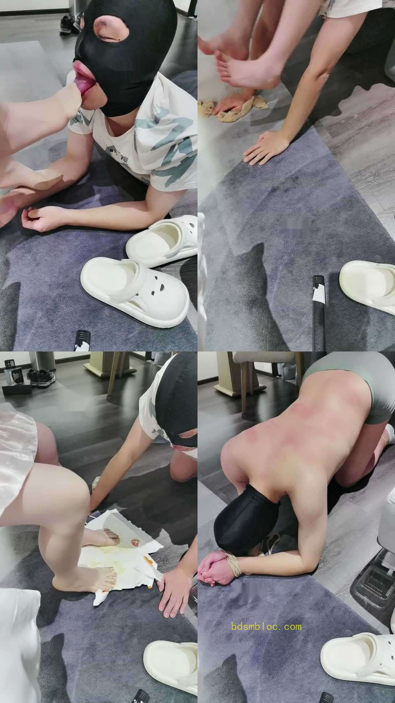 【糖糖zhi】进来看小狗喂食