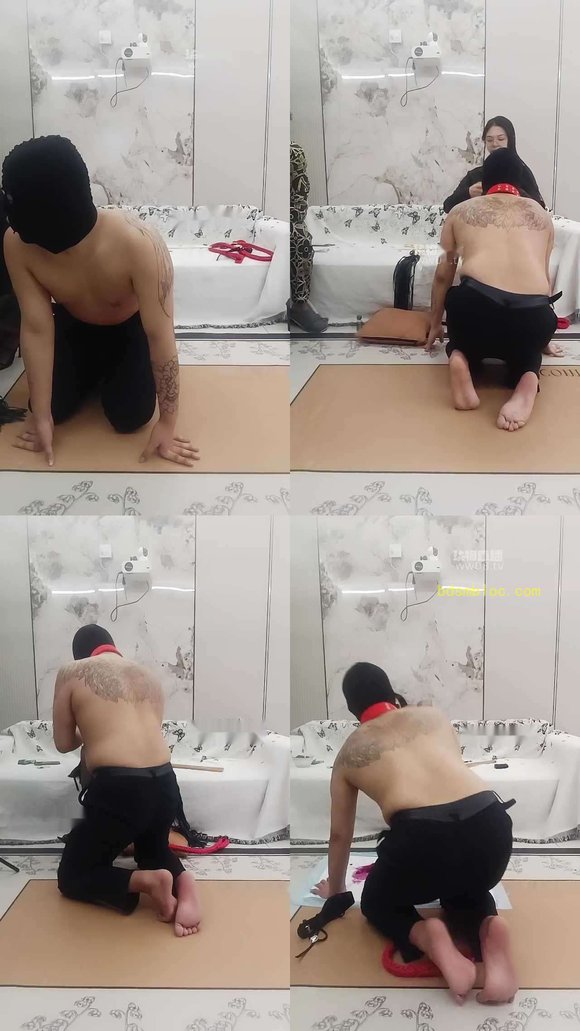 【契约兽】调教