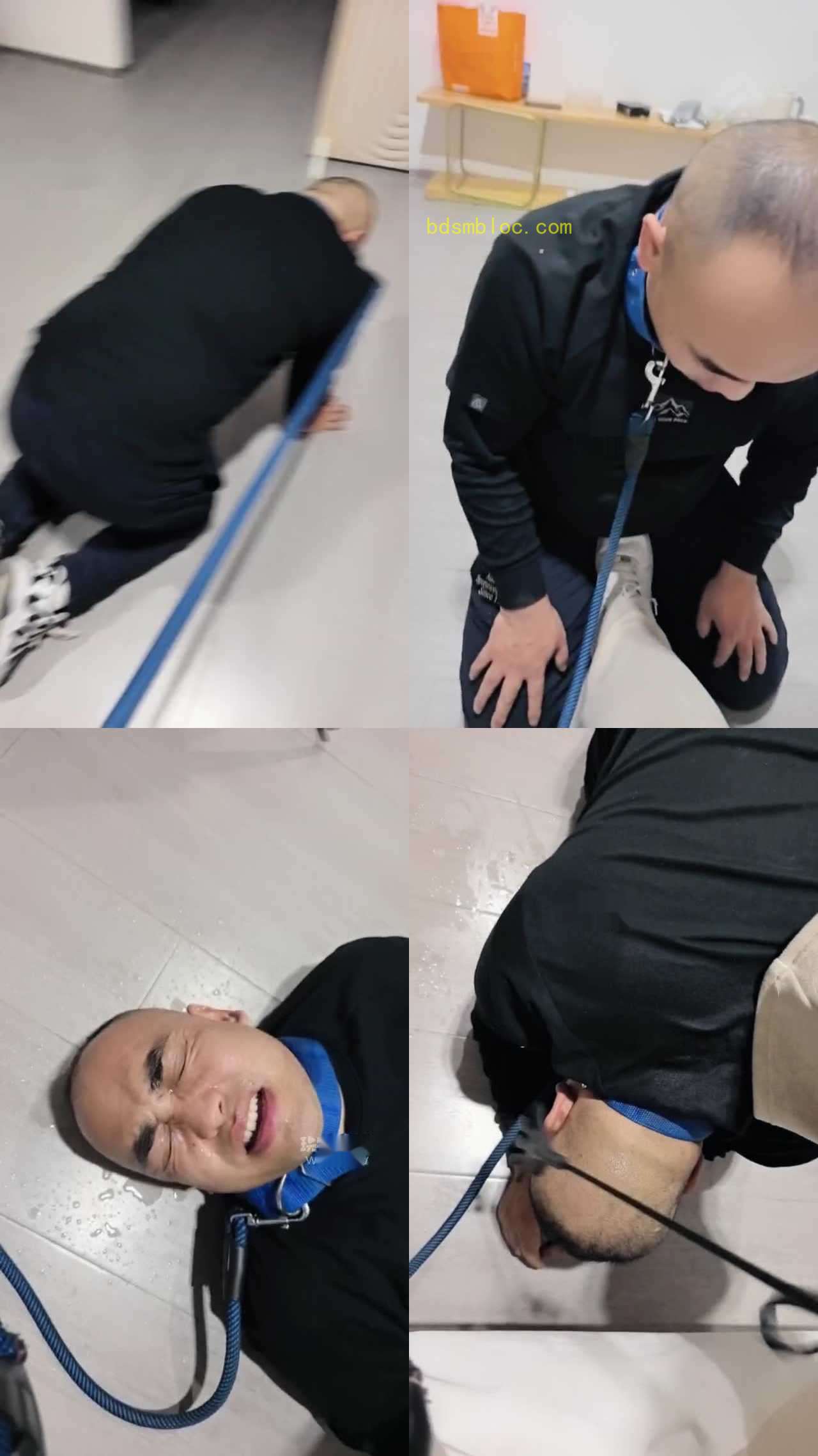 【贝拉S】试播一下调教狗奴才