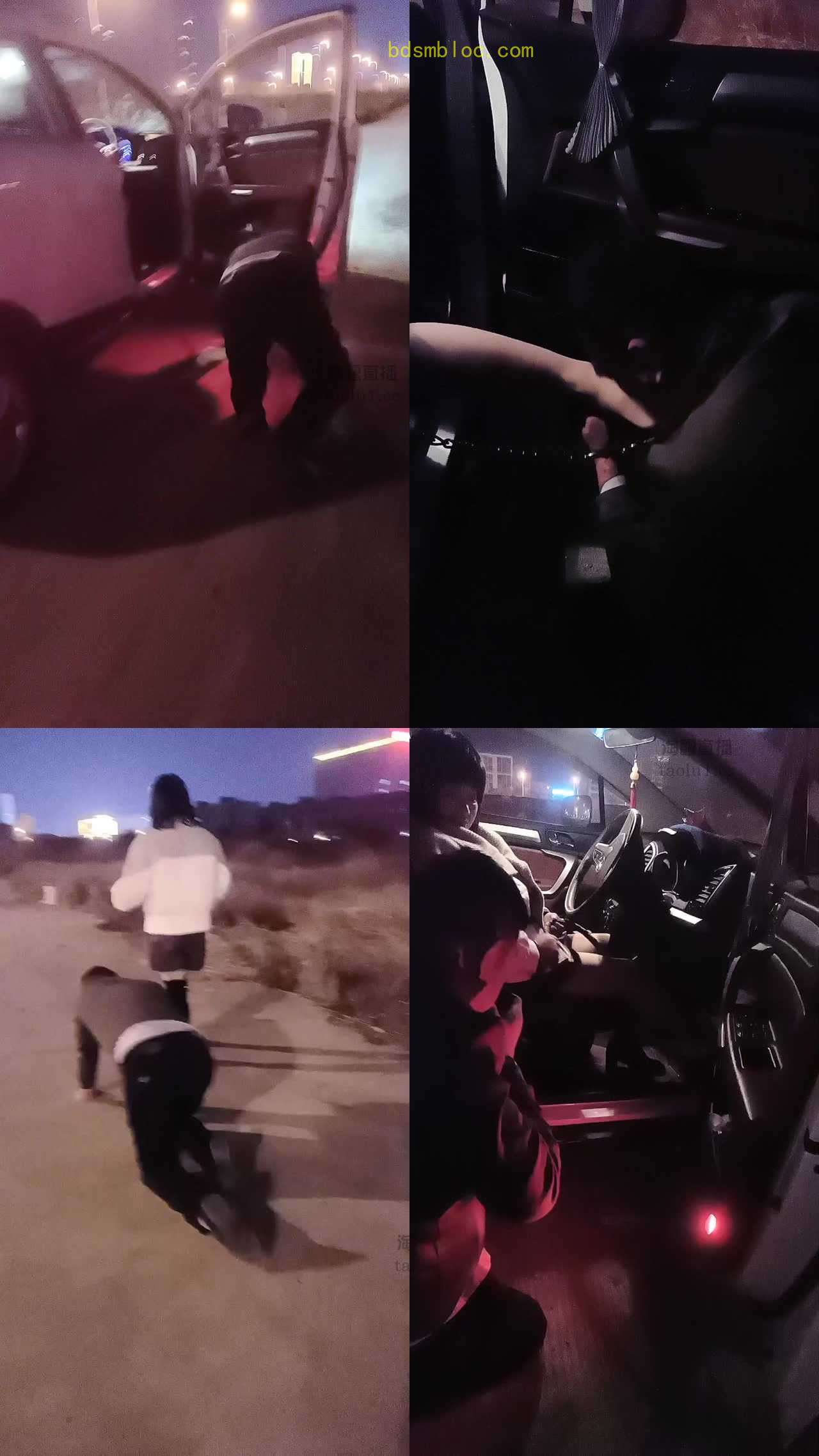 【琴S】乡村小路开车溜老狗