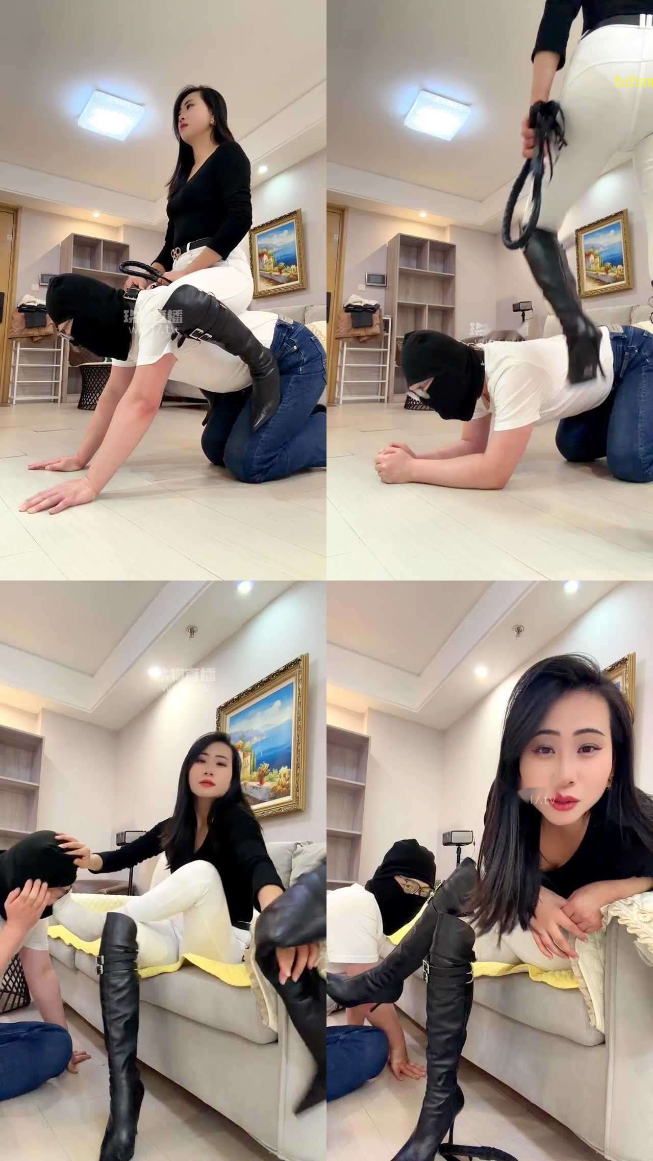 【爱丽丝】00研究生首次四脚马两脚马