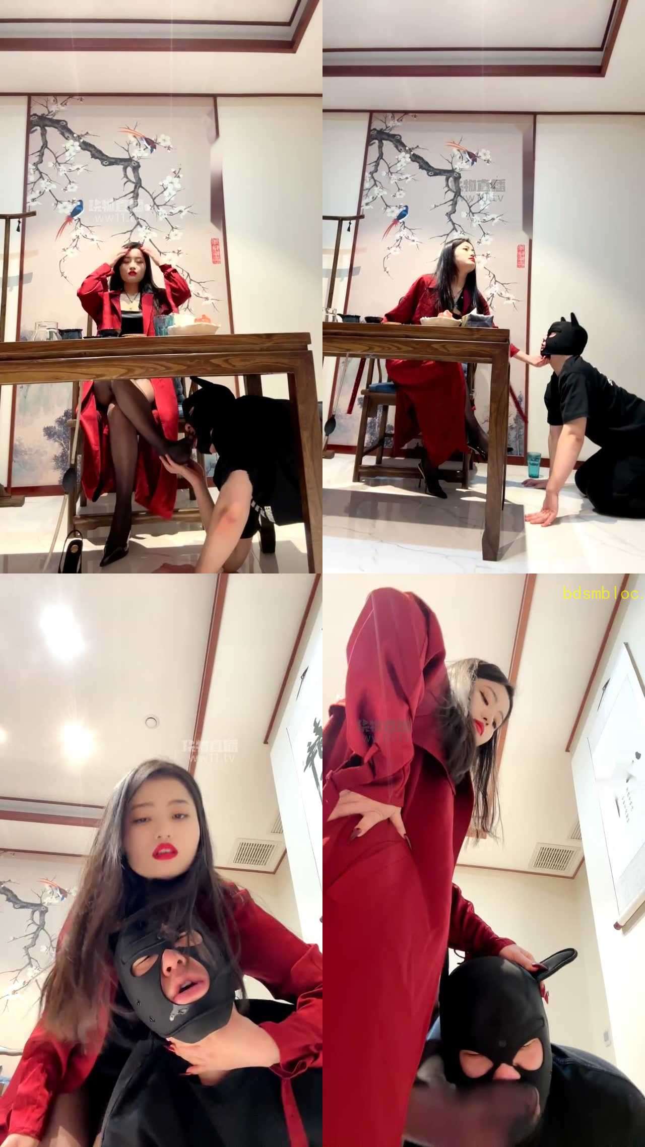 【兰主人】茶室玩射舔狗