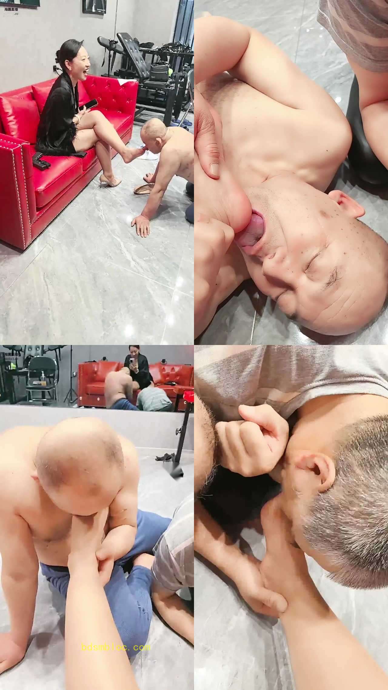 【冷御的冷S】赏赐场舔脚
