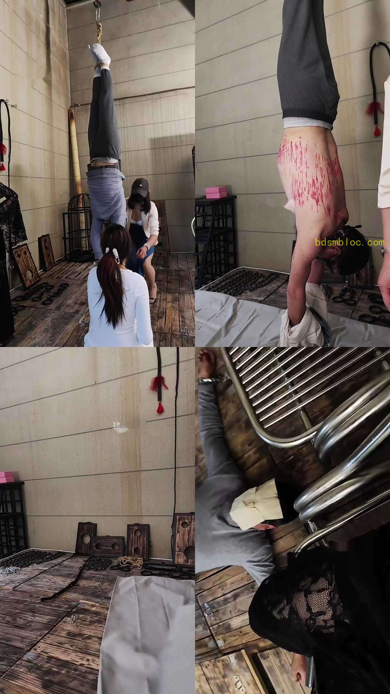 【暴躁七七】七七主人来了速来