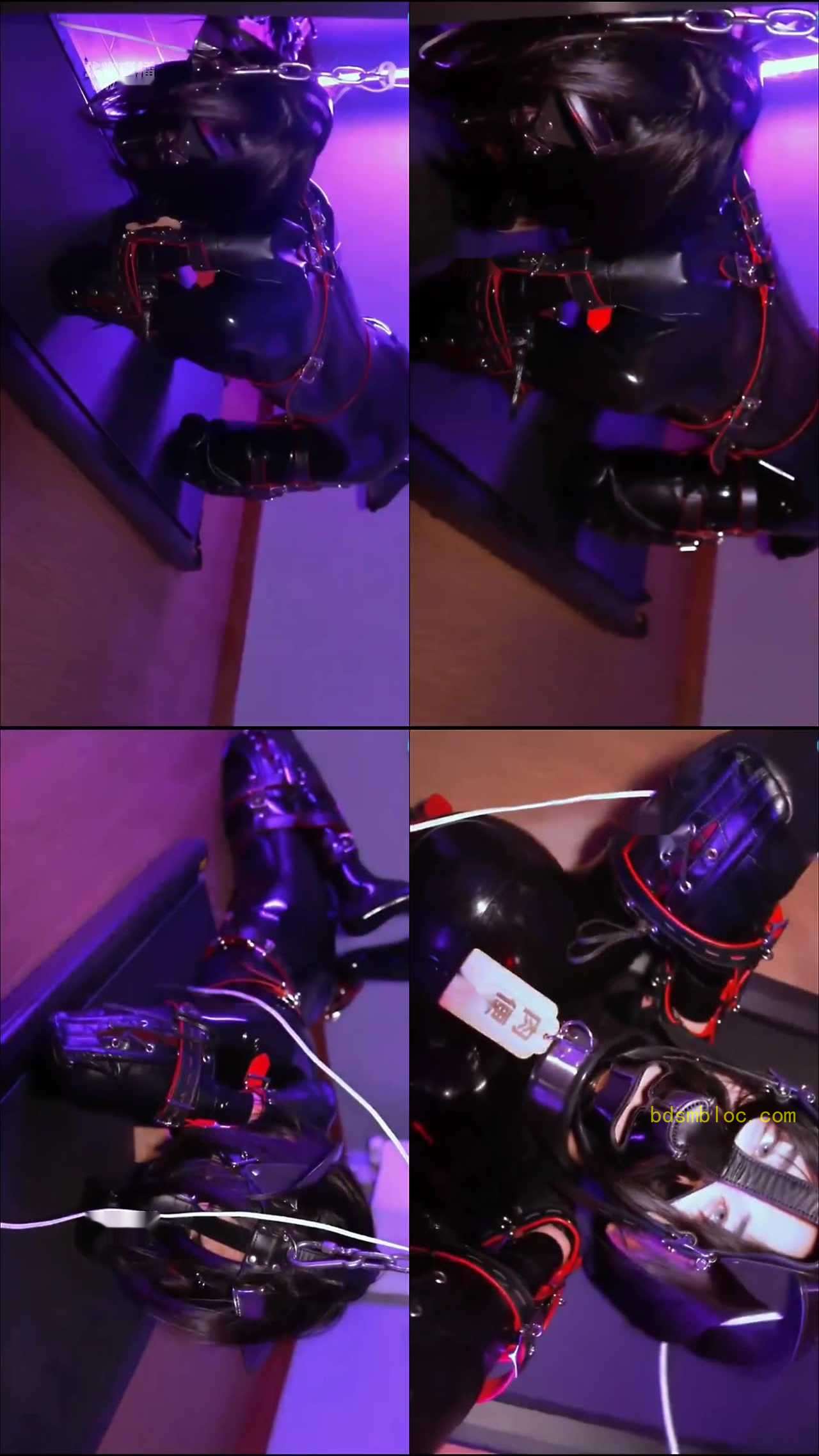 【KinectPP】犬态行走训练