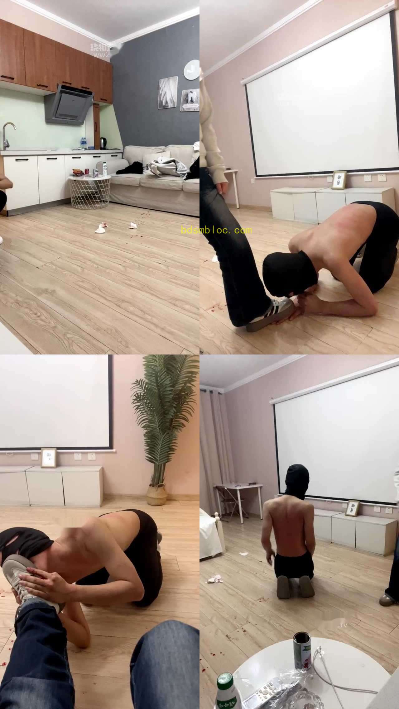 【CN足彩馆】初调大学生狗