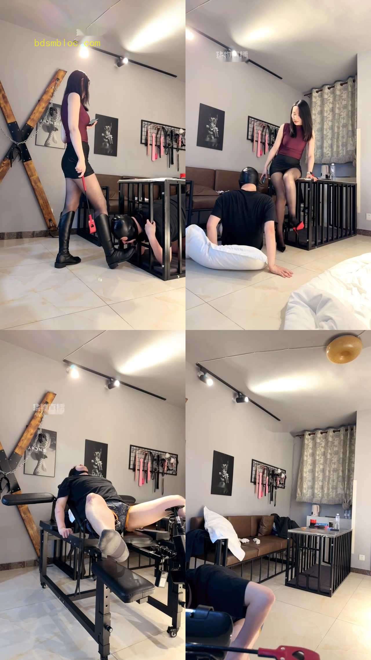 【南乔大小姐】被圈养的狗东西