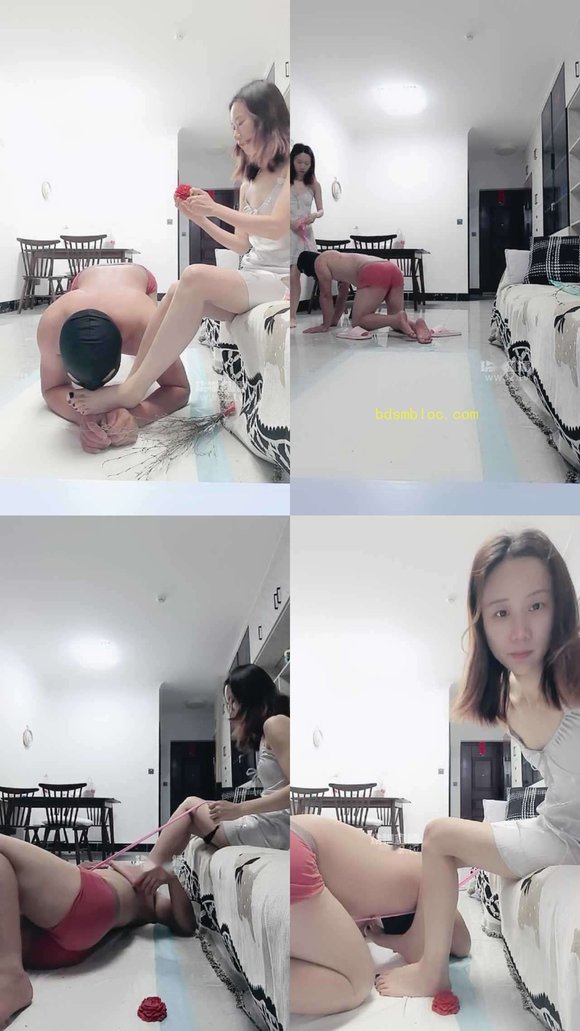 【葵葵sama南宁】滴蜡遛鸟废物狗