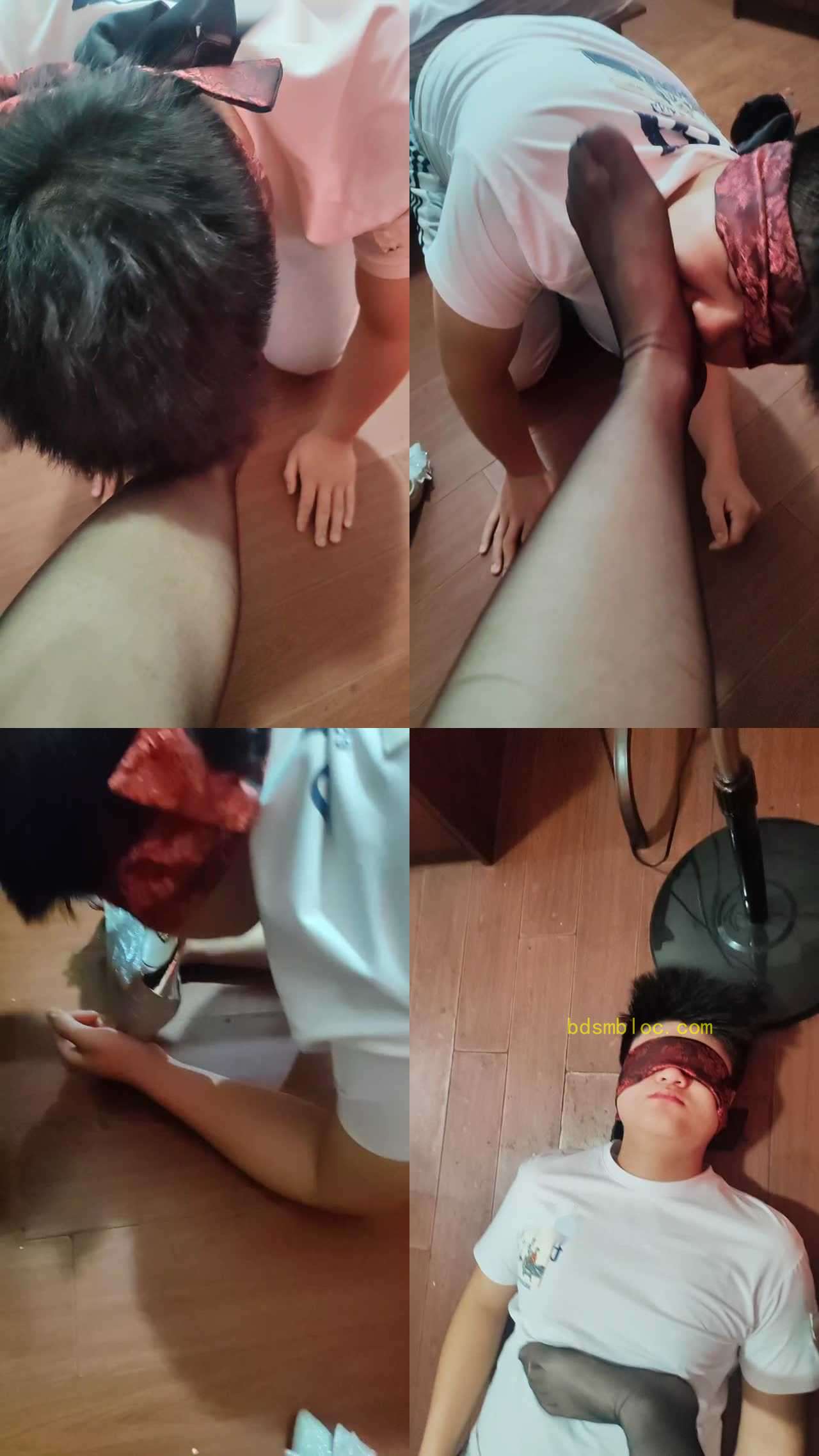【禾秋S】调狗