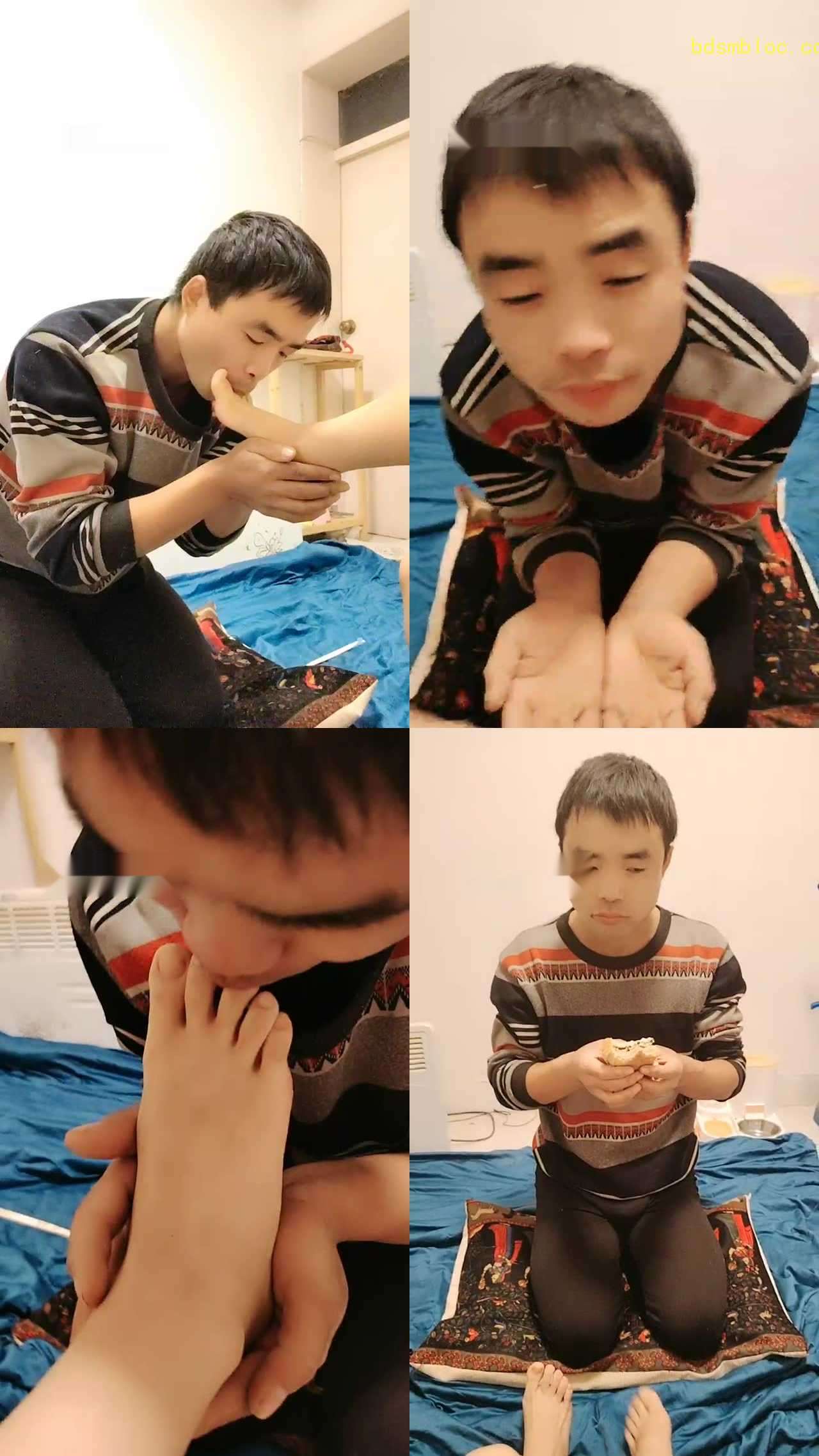 【鱼子酱】小狗的美食盛宴