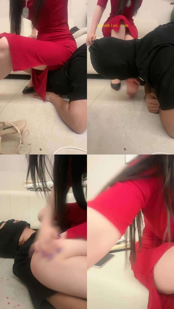 【清杀】现场调狗