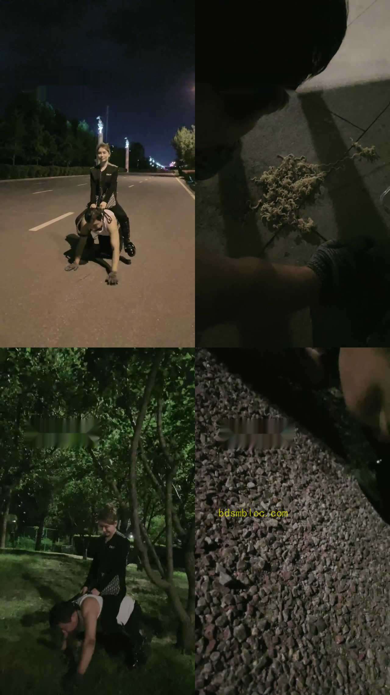 【妮可】夜间户外马路遛狗骑马