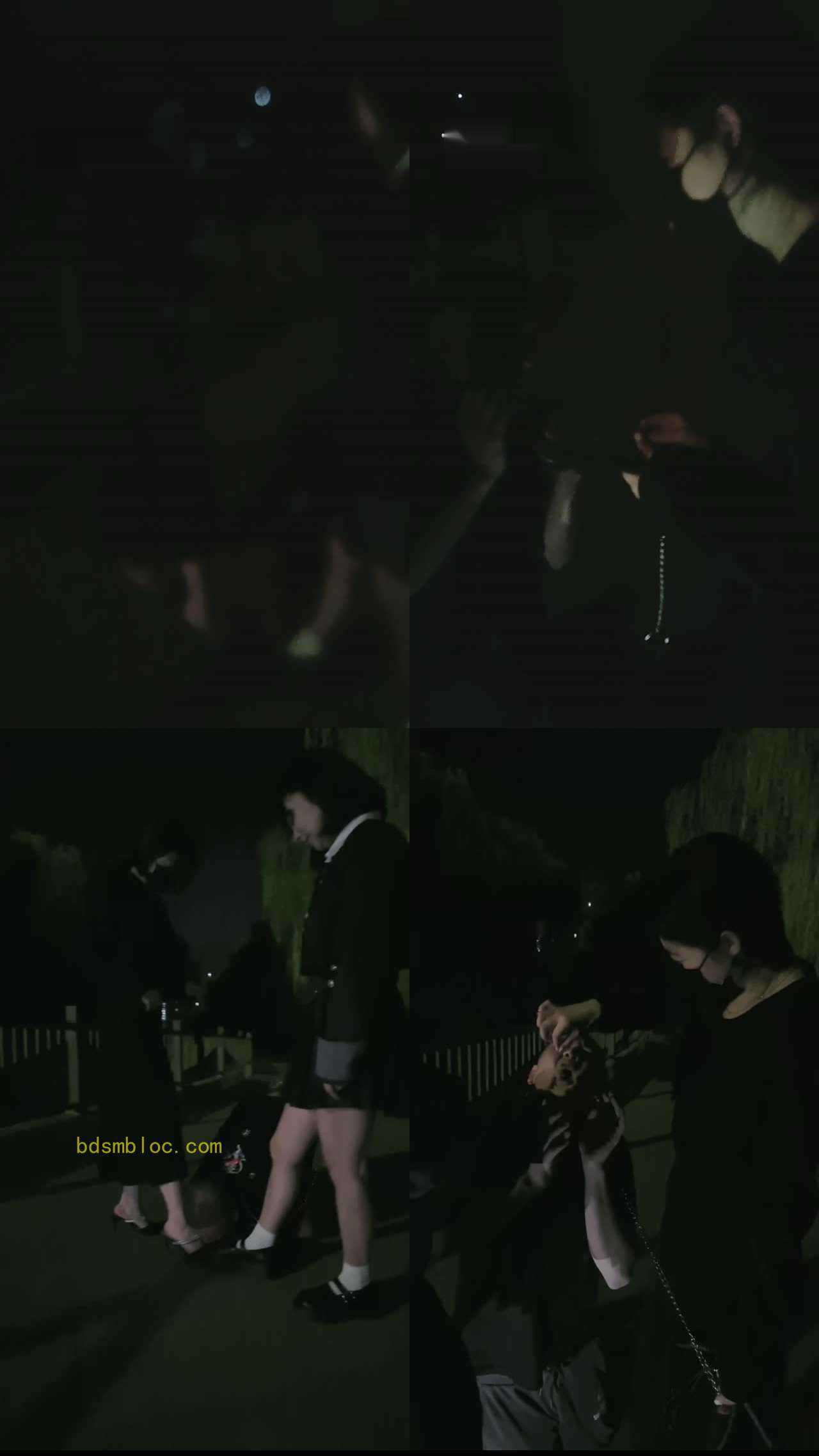 【鱼糯糯】双S-夜跑后户外无底线虐狗【双视角版】